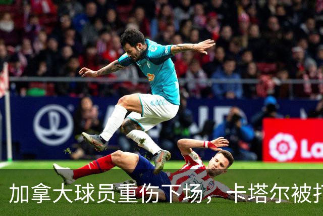 加拿大球员重伤下场，卡塔尔被打爆，“输球又输人”