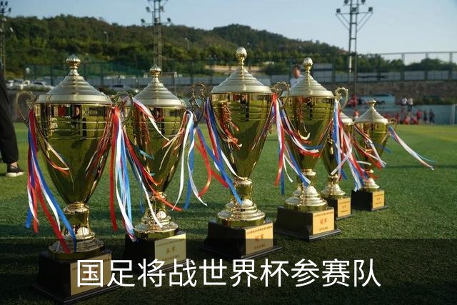 国足将战世界杯参赛队