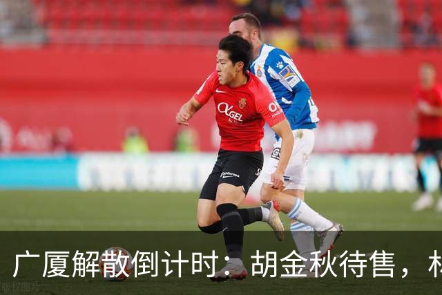 广厦解散倒计时：胡金秋待售，林秉圣离开，民企资金困境影响CBA