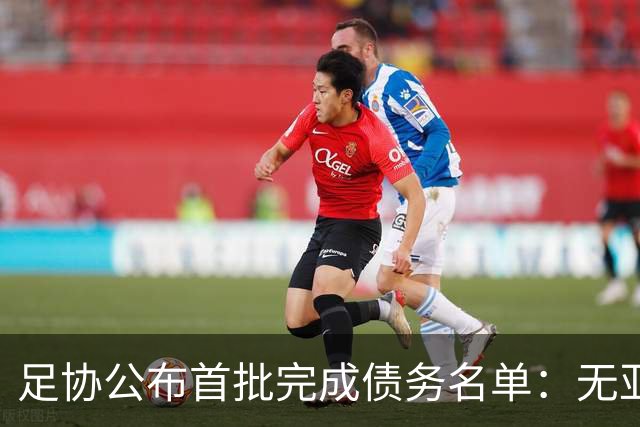 足协公布首批完成债务名单：无亚泰、三镇、沧州
